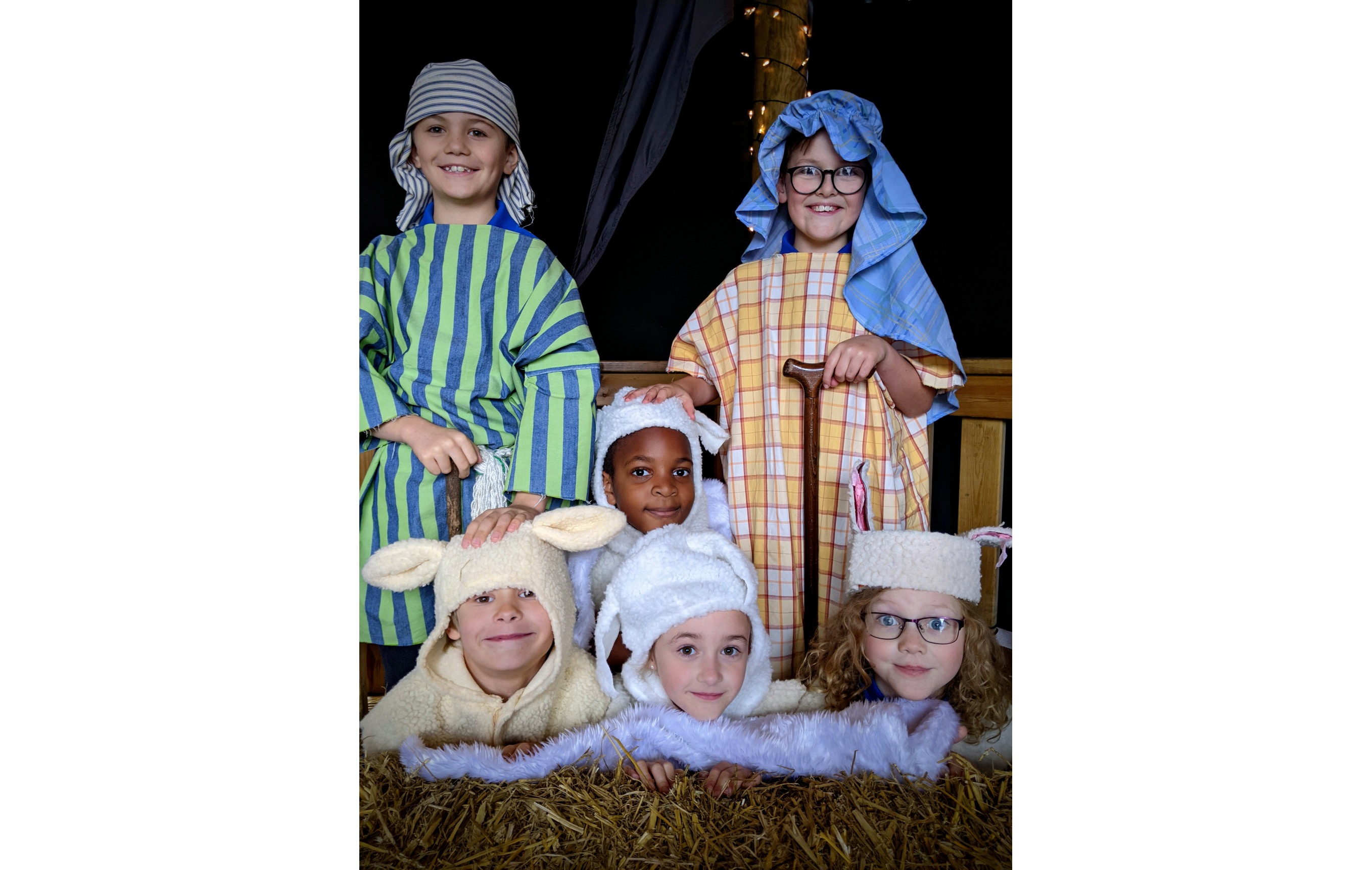 shepherds and sheep 3